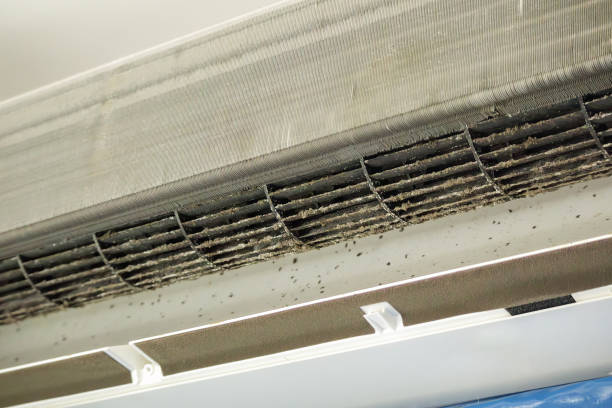 Best Air Duct Cleaning Near Me  in South El Monte, CA